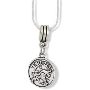 Taurus Astrology Horoscope Charm Snake Chain Necklace